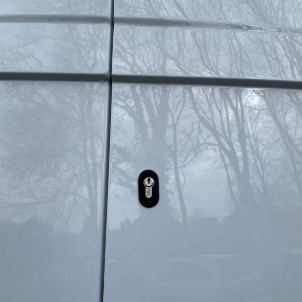 Reflective surface of a vehicle door with tree branch reflections and an oval keyhole.