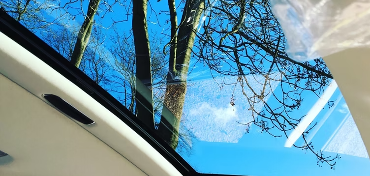 View through a car sunroof showing blue sky and leafless tree branches.