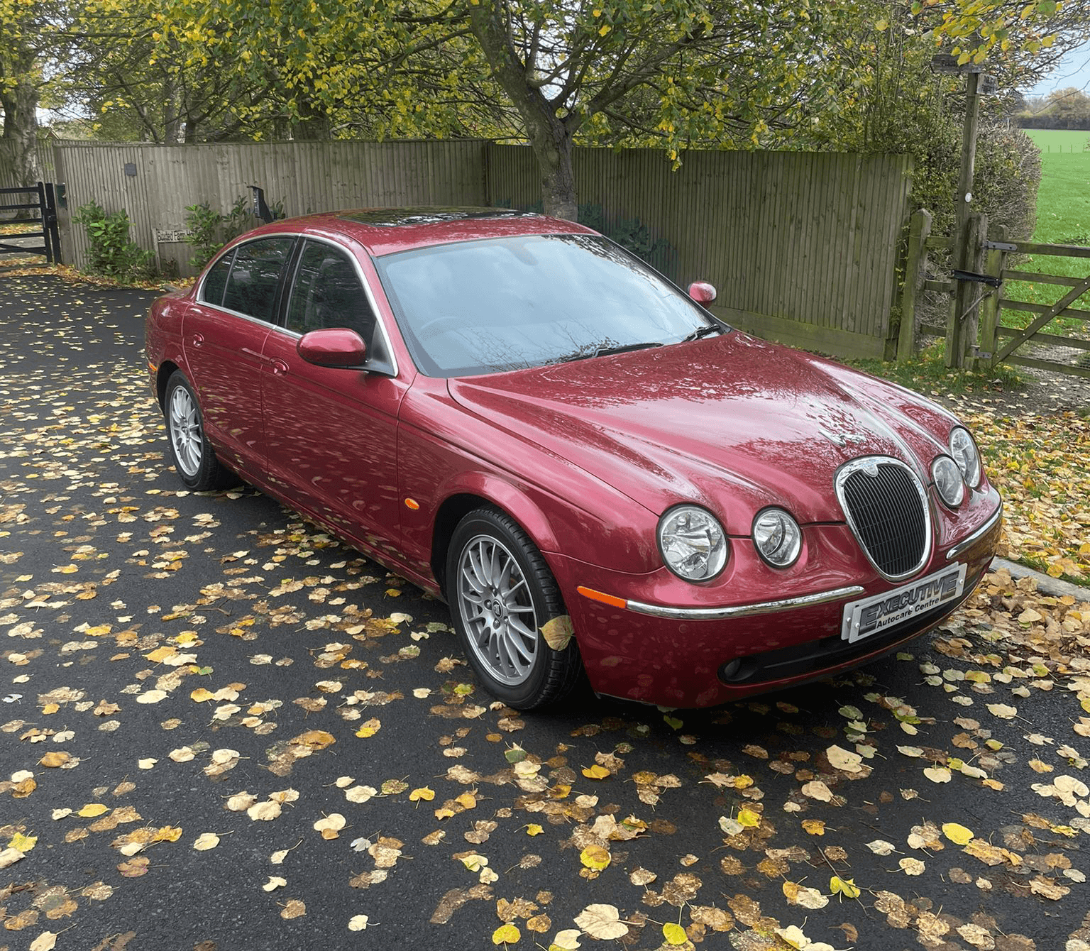 A red Jaguar sedan parked on a driveway covered with yellow fallen leaves, with trees and a concrete wall in the background.